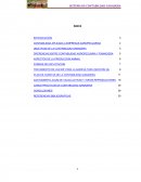 CONTABILIDAD APLICADA A EMPRESAS AGROPECUARIAS