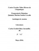 Analogia final, literatura