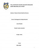 Análisis de un grupo en practicas profesionales primaria.