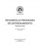 DESARROLLO PROGRAMA DE ENTRENAMIENTO TRABAJO FINAL