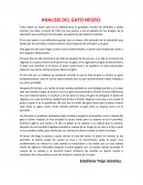 Analisis del gato negro.