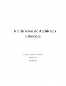 Notificación de Accidentes Laborales - Investigación en Prevención de Riesgos