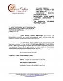 Formato para ofrecimiento de pruebas en el termino consitucional