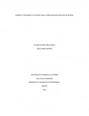 DISEÑO DE ASCENSORES EXCLUSIVOS PARA LA POBLACION DISCAPACITADA DE BOGOTA