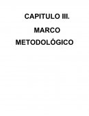 CAPITULO III. MARCO METODOLÓGICO
