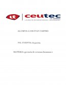 PSICOLOGIA ORGANIZACIONAL. gerencia de recursos humanos 2