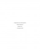 Sistemas Operativos - Componentes