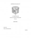 Laboratorio de biología e histología vegetal.