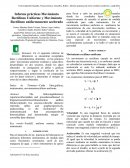 Informe prácticas Movimiento Rectilíneo Uniforme y Movimiento Rectilíneo uniformemente acelerado