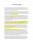 Un loco en la cuidad