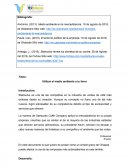 Aplicación de macroentorno y microentorno a una empresa