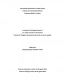 Practica #1: Registro de potencial de acción en nervio aislado