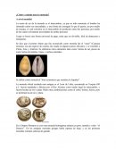 ¿Cómo y cuándo nace la moneda?