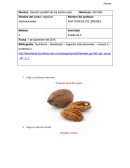 Evidencia 3 negocios internacionales