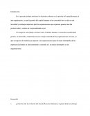 Distintos enfoque a la gestión del capital humano.