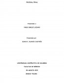 Principios procesal penal