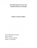 Respeto a las leyes en México.