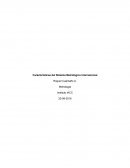 Características del Sistema Metrológico Internacional.