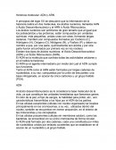 Herencia molecular: ADN y ARN.