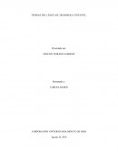 TEORIAS DEL LENGUAJE. DESARROLLO INFANTIL.