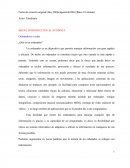 Breve Introduccion al internet.