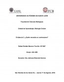 ¿Quien necesita Centrosomas?