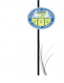 Diferencias entre animales domesticos