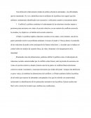 ¿Qué es la política?