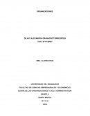TEORÍA DE LAS ORGANIZACIONES Y DE LA ADMINISTRACIÓN