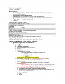 Contenido de entrega