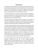 ENSAYO EMPRENDIMIENTO.