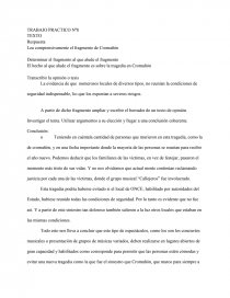 Lea comprensivamente el fragmento de Cromañón. Página 1