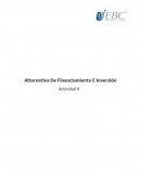 Alternativa De Financiamiento E Inversión