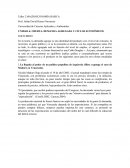 OFERTA, DEMANDA AGREGADA Y CICLOS ECONÓMICOS