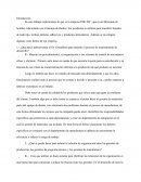 Evalue los planes y los resultados esperados del nuevo