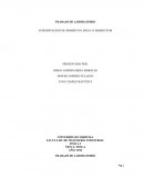 TRABAJO DE LABORATORIO CONSERVACION DE MOMENTO LINEAL O MOMENTUM