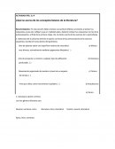 ¿Qué se acerca de los conceptos básicos de la literatura?