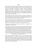 Ensayo documental home.