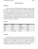 Estrategia empresarial Introducción