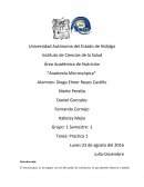 Anatomía microscopica.