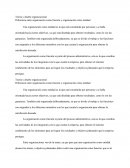 Organizacion como funcion y organizacion como empresa.