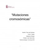 “Mutaciones cromosómicas”