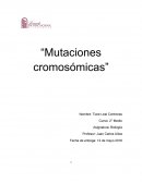 Mutaciones cromosómicas