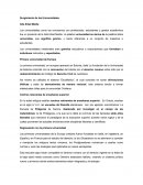 Surgimiento de las universidades.