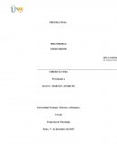 PRUEBA FINAL - CIBERCULTURA