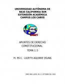APUNTES DE DERECHO CONSTITUCIONAL.