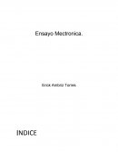 Ensayo Ing. Mecatronica.