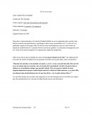 Reseña El ver no es creer.