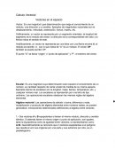 Introdución al calculo vectorial.