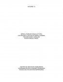 Informe 15 - Tecnólogo en Gestión Empresarial